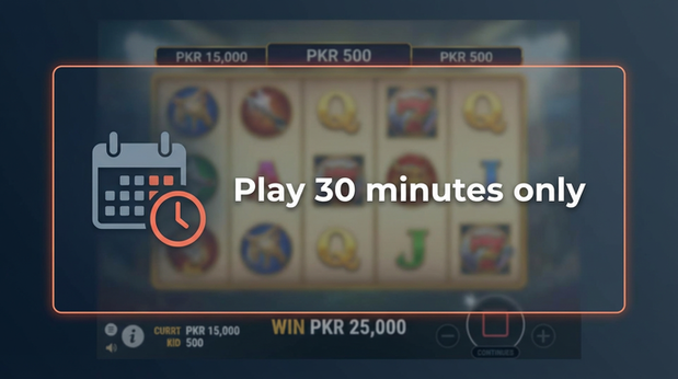 Payment and PKR controls in milwin - 6